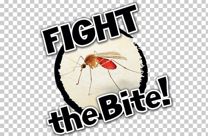 Animal Bite Mosquito Insect Bites And Stings Control West Nile Fever PNG, Clipart, Aedes, Animal Bite, Arthropod, Biting, Brand Free PNG Download