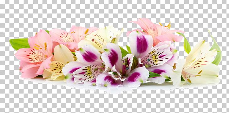 Border Flowers Floral Design PNG, Clipart, Alstroemeria, Beautiful Flowers, Blossom, Border, Border Flowers Free PNG Download