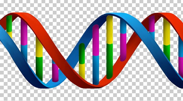 DNA And RNA Cell Genetics PNG, Clipart, Biology, Cell, Clip Art, Dna, Dna And Rna Free PNG Download