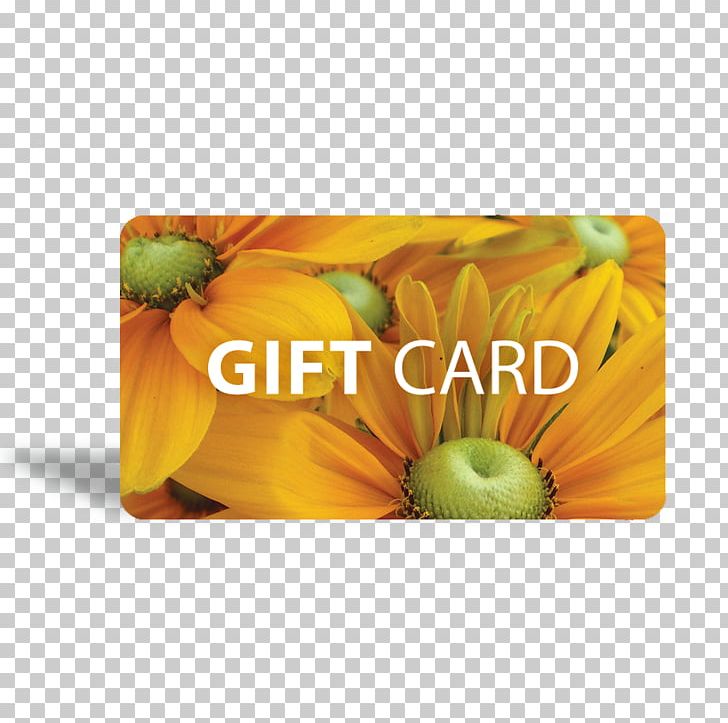 Gift Card Greeting & Note Cards Mother Nature PNG, Clipart, Animal, Art, Common Sunflower, Flower, Fruit Free PNG Download