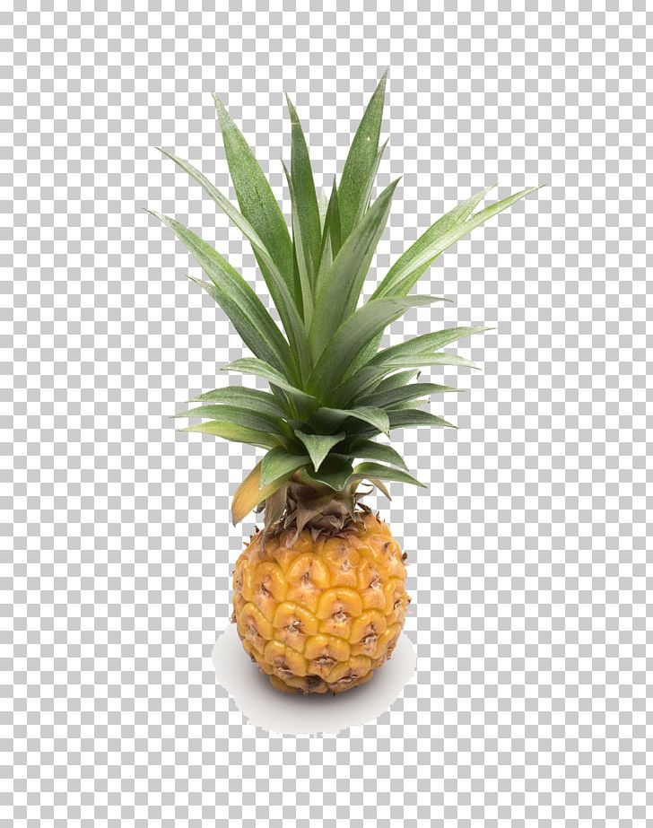 Pineapple Auglis Fruit Google S PNG, Clipart, Ananas, Auglis, Bromeliaceae, Download, Flowerpot Free PNG Download