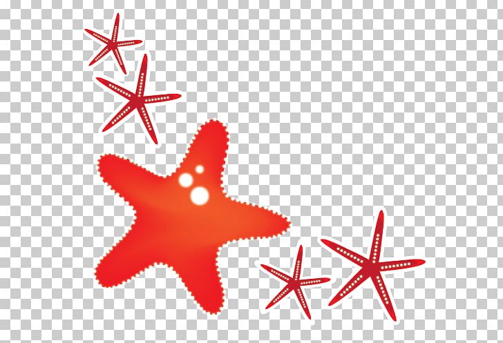 Starfish Red PNG, Clipart, Adobe Illustrator, Animal, Animals, Download, Echinoderm Free PNG Download