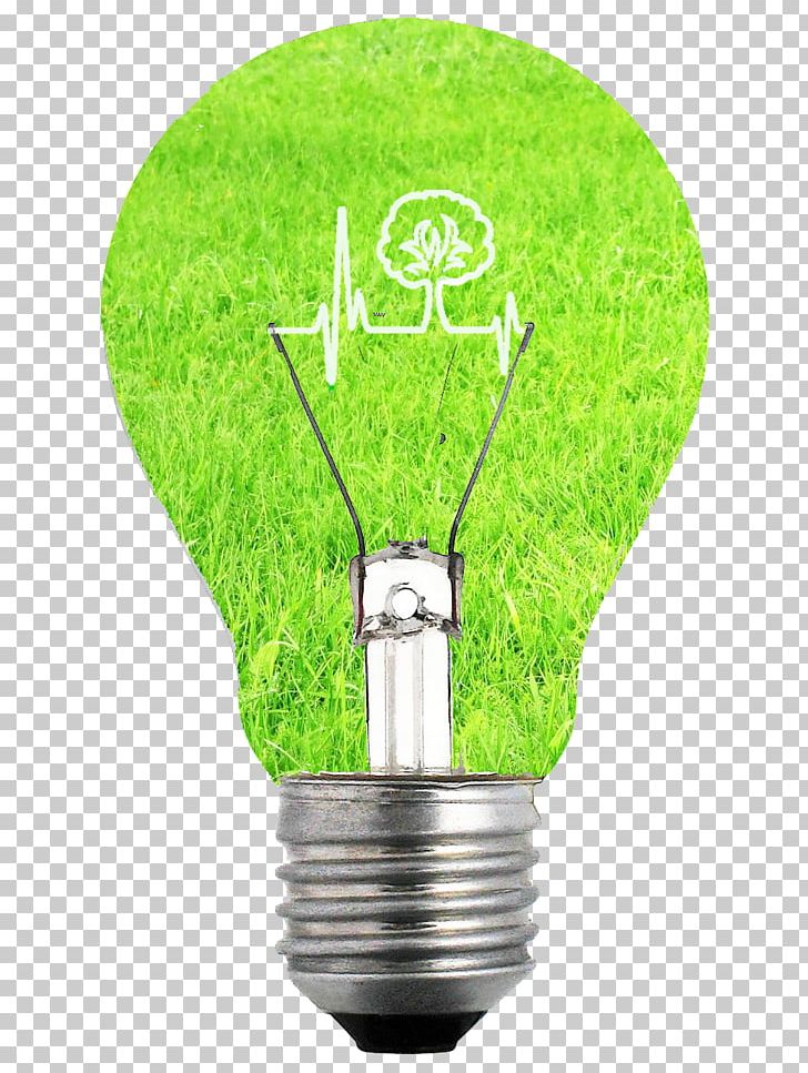 Story Of Your Life La Pierre De Soufre Edison Screw Stories Of Your Life And Others Smart Lighting PNG, Clipart, Chemistry, Coworking, Edison Screw, Energy, Grass Free PNG Download