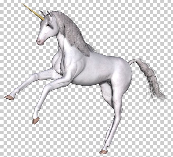 Unicorn Fairy Tale Scotland Legendary Creature PNG, Clipart, Animal Figure, Bridle, Colt, Fairy, Fairy Tale Free PNG Download