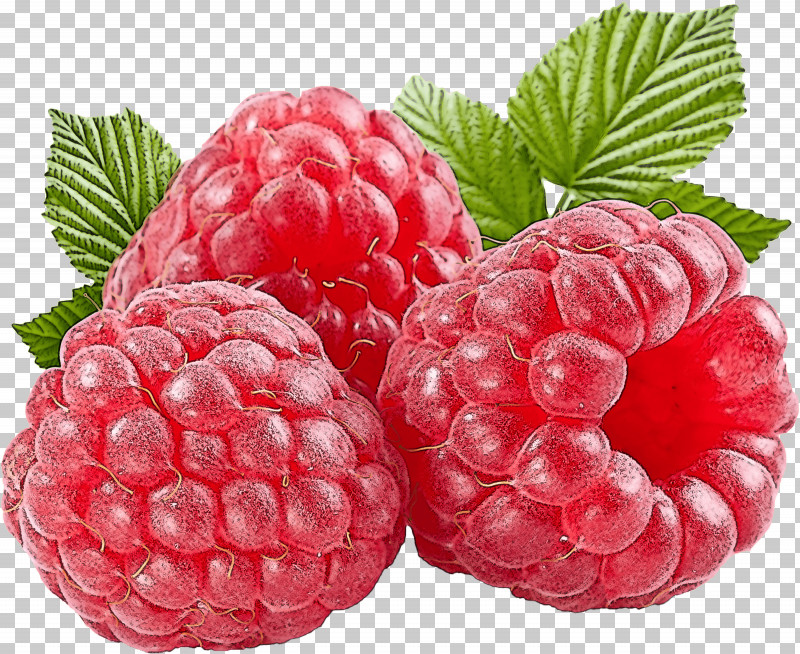 Berry Fruit Raspberry Blackberry Rubus PNG, Clipart, Accessory Fruit, Berry, Blackberry, Boysenberry, Bramble Free PNG Download
