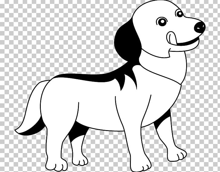 Dog Breed Puppy Whiskers PNG, Clipart, Animal, Animals, Black, Black And White, Breed Free PNG Download