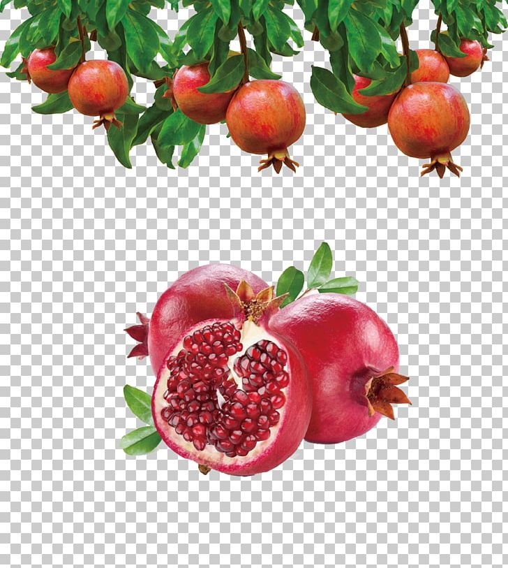 Granada Pomegranate Juice Fruit Food PNG, Clipart, Accessory Fruit, Acerola, Alimento Saludable, Antioxidant, Apple Free PNG Download