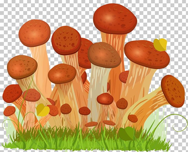 Honey Fungus Edible Mushroom Euclidean Drawing PNG, Clipart, Boletus Edulis, Dra, Drawing, Edible, Edible Mushroom Free PNG Download