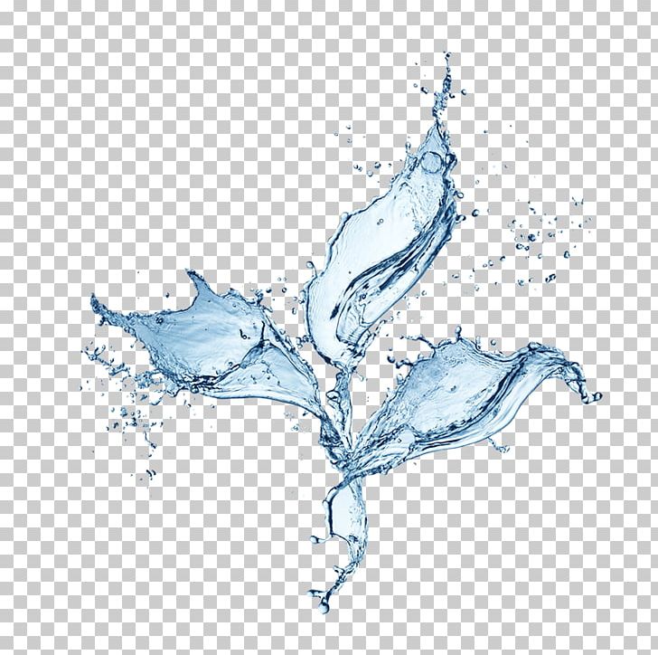 Water Drop Splash PNG, Clipart, Blue, Blue Water, Branch, Cosmetics, Creative Free PNG Download