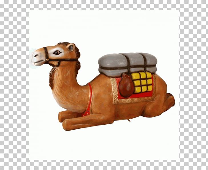 Dromedary Snout Camel PNG, Clipart, Arabian Camel, Camel, Camel Like Mammal, Dromedary, Livestock Free PNG Download