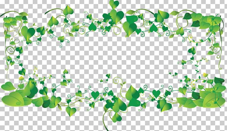 Frames PNG, Clipart, Branch, Computer Wallpaper, Document, Download, Flora Free PNG Download