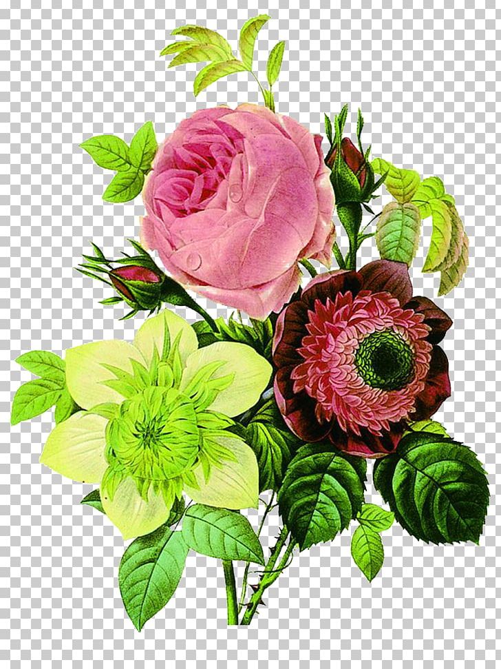 Flower Botany Botanical Illustration Floral Design Illustration PNG, Clipart, Annual Plant, Artificial Flower, Bouquet Of Flowers, Bridal Bouquet, Flower Arranging Free PNG Download