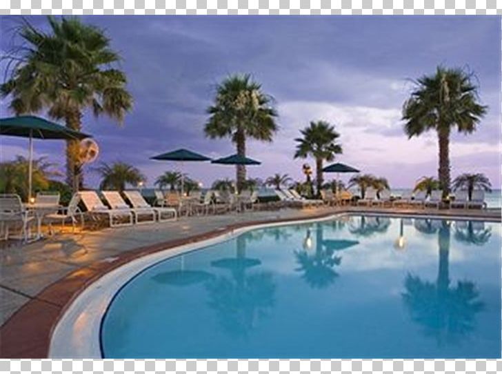 Grand Hyatt Tampa Bay Hyatt Place Tampa/Busch Gardens Resort PNG, Clipart, Arecales, Beach, Caribbean, Estate, Florida Free PNG Download