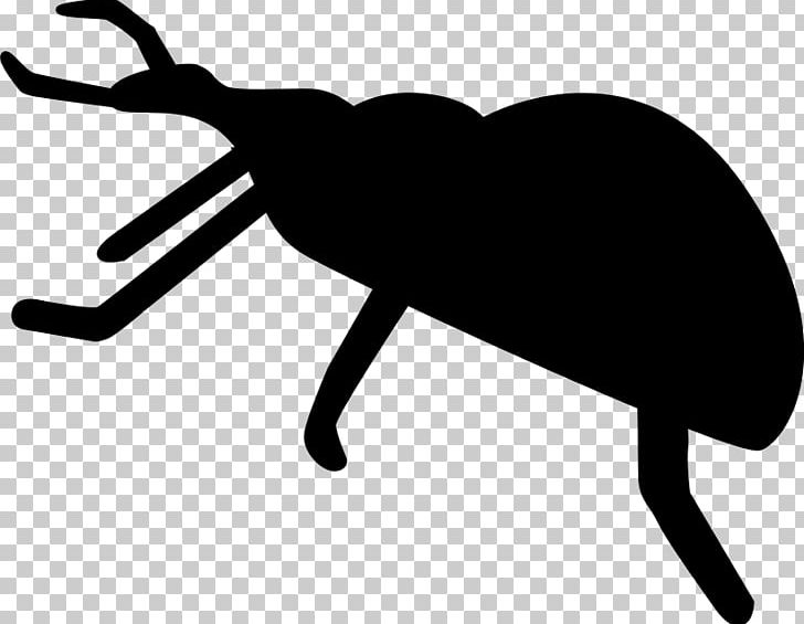 Beetle Silhouette Drawing PNG, Clipart, Animals, Art, Artwork, Beetle, Black Free PNG Download