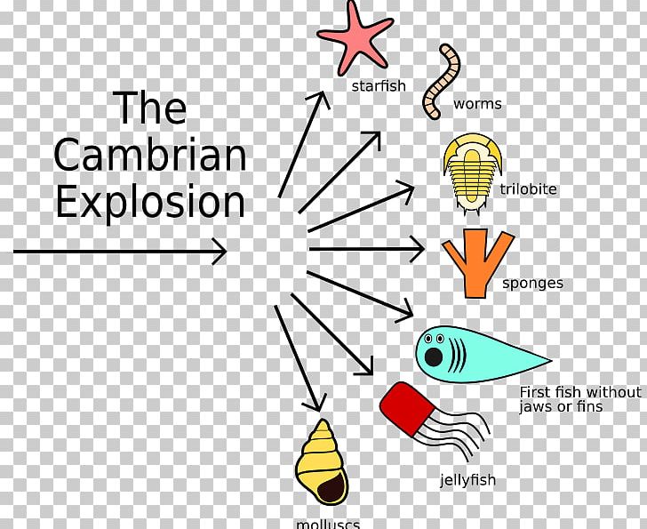 Cambrian Explosion Evolution Geological Period Organism PNG, Clipart, Angle, Area, Billion Years, Brand, Cambrian Free PNG Download