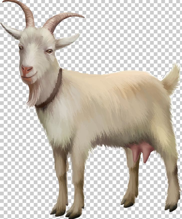 Rove Goat Sheep Stock Photography Stock Illustration PNG, Clipart, Animals, Cow Goat Family, Decoration, Eid Goat, Feral Goat Free PNG Download