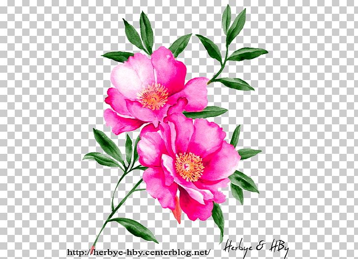 Watercolour Flowers Watercolor Painting Floral Design Drawing PNG, Clipart, Botanical Illustration, Botany, Camellia, Flower, Flower Arranging Free PNG Download