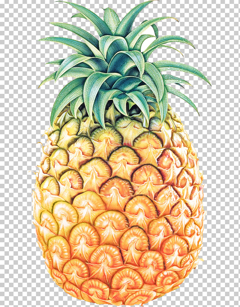 Pineapple PNG, Clipart, Ananas, Food, Fruit, Natural Foods, Pineapple Free PNG Download