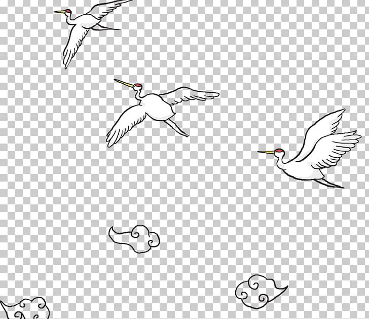 Crane Paper Light PNG, Clipart, Angle, Bird, Black White, Crane, Encapsulated Postscript Free PNG Download