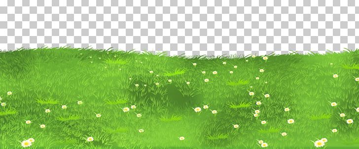 Lawn Grasses PNG, Clipart, Blog, Clipart, Clip Art, Daisies, Garden Free PNG Download