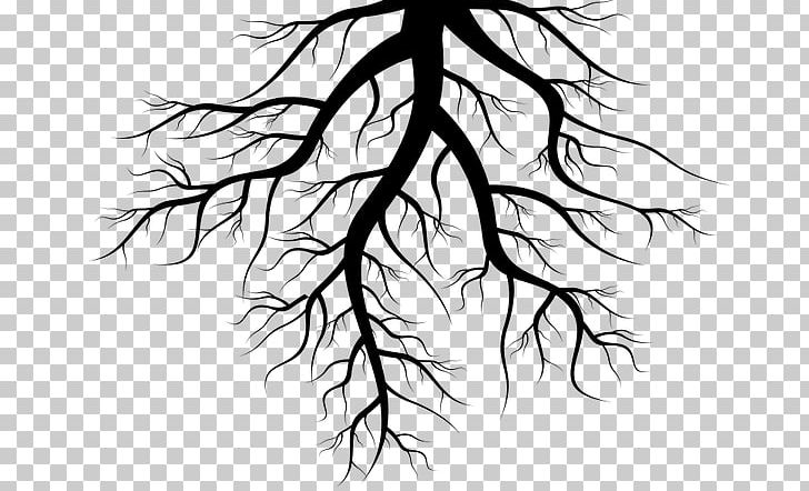 Tree Root PNG, Clipart, Artwork, Black And White, Branch, Drawing, Flowering Plant Free PNG Download