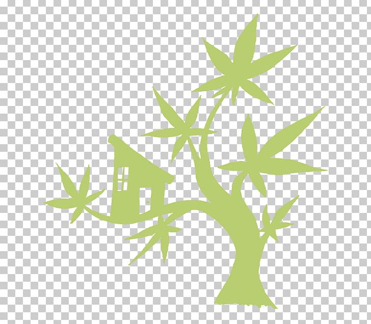 Branch Medical Cannabis Cannabis Cultivation Service PNG, Clipart, Branch, Cannabis, Cannabis Cultivation, Delight, Dispensary Free PNG Download