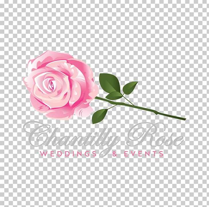 Garden Roses Cabbage Rose Floral Design Sweet Tea Please PNG, Clipart, Art, Cut Flowers, Floral Design, Floristry, Flower Free PNG Download