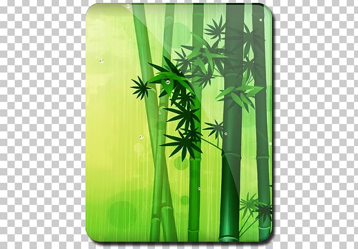 Hemp Tropical Woody Bamboos Cannabis PNG, Clipart, Android, App, Bamboo, Bamboos, Cannabis Free PNG Download