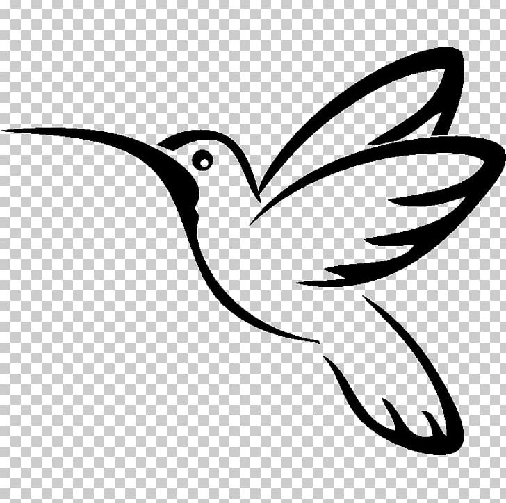 Hummingbird Drawing PNG, Clipart, Animals, Art, Artwork, Beak, Black And White Free PNG Download