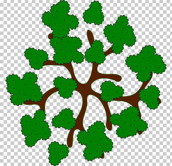 Tree Stock Photography PNG, Clipart, Branch, Drawing, Grass, Green, Leaf Free PNG Download