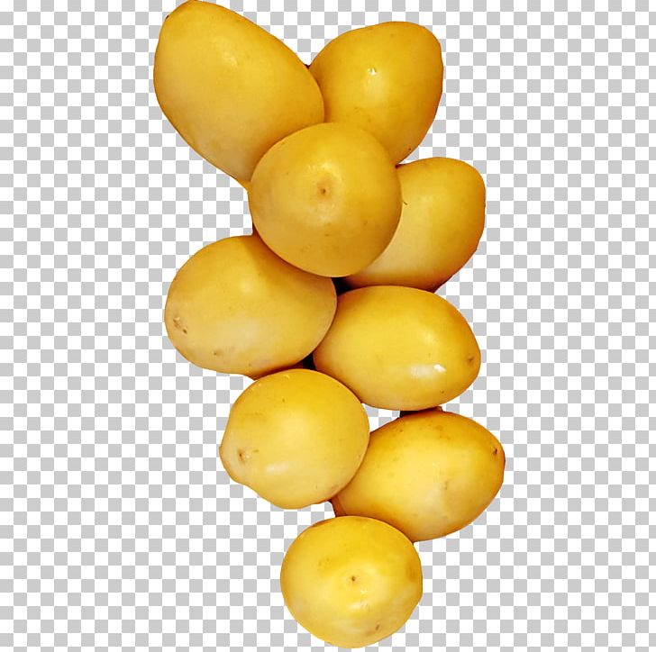 Lemon Yukon Gold Potato Vegetarian Cuisine Food Commodity PNG, Clipart, Citrus, Commodity, Dattes, Food, Fruit Free PNG Download