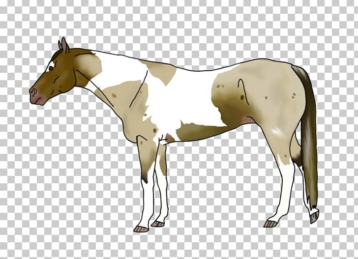 Mane Foal Mustang Stallion Colt PNG, Clipart, Animal Figure, Bridle, Coif, Colt, Foal Free PNG Download