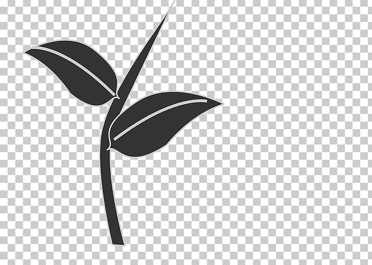 Plant Stem Leaf PNG, Clipart, Artwork, Black, Black And White, Branch, Bud Free PNG Download