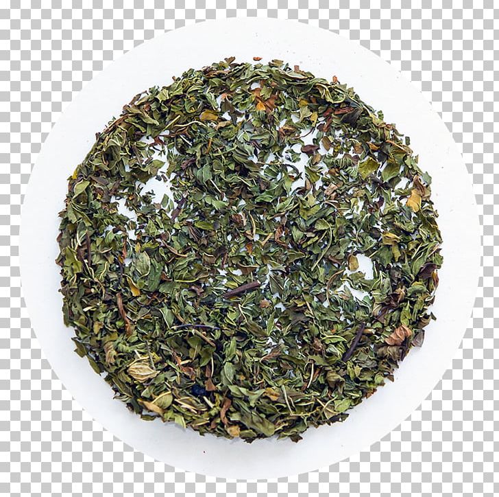 Green Tea Tieguanyin Nilgiri Tea Matcha PNG, Clipart, Assam Tea, Bancha, Biluochun, Caffeine, Ceylon Tea Free PNG Download