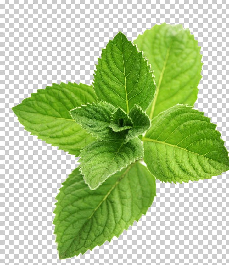Juice Peppermint Flavor Menthol PNG, Clipart, Drink, Essential Oil, Extract, Flavor, Food Free PNG Download