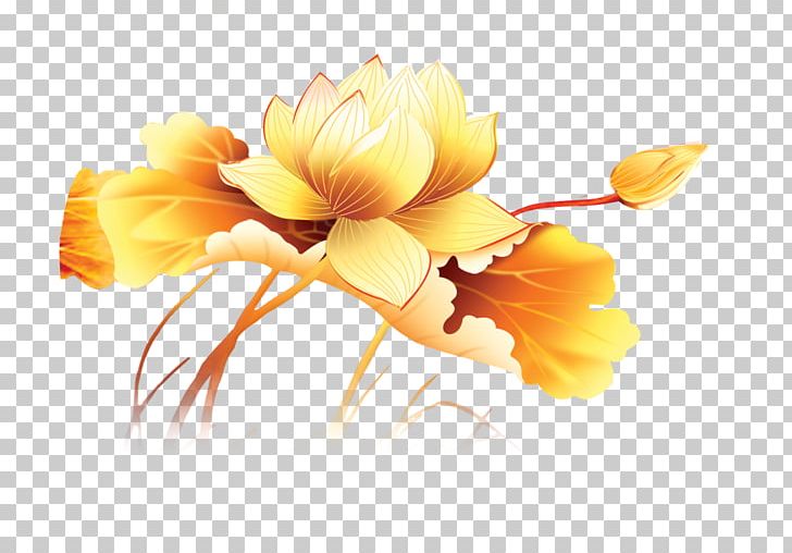 Nelumbo Nucifera Gold Fish Yellow PNG, Clipart, Chinoiserie, Color, Computer Wallpaper, Creative, Cut Flowers Free PNG Download