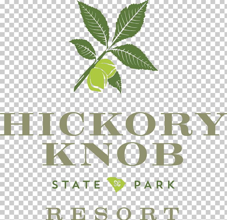 State Park McCormick HICKORY KNOB STATE RESORT PARK Accommodation PNG, Clipart, Accommodation, Brand, Cafe, Carolina, Hemp Free PNG Download