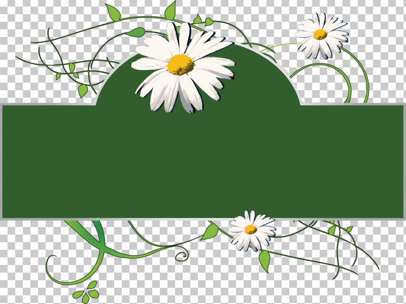 Daisies Frame Flower Frame Floral Frame PNG, Clipart, Camomile, Chamaemelum Nobile, Chamomile, Daisies Frame, Daisy Free PNG Download