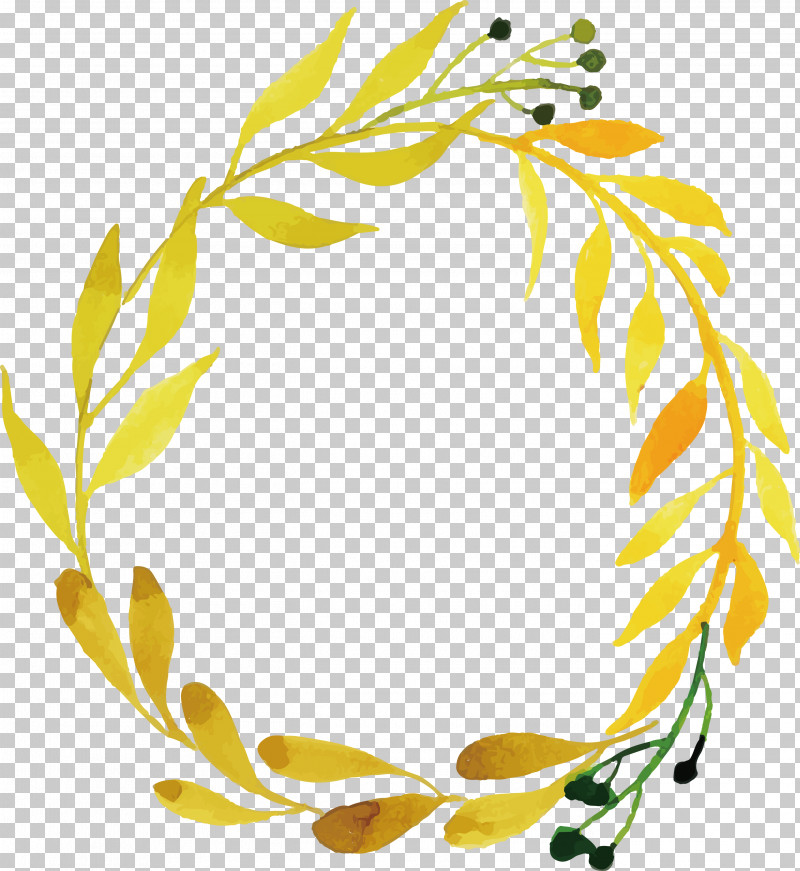 Floral Design PNG, Clipart, Colorful Leaf, Floral Design, Fruit, Line, Twig Free PNG Download