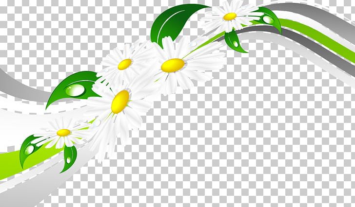 20.03.2017. .li PNG, Clipart, 20032017, Blog, Com, Computer Wallpaper, Daisy Free PNG Download