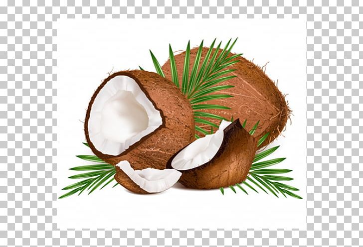 Coconut Water PNG, Clipart, Arecaceae, Big Tree, Clip Art, Coconut, Coconut Oil Free PNG Download