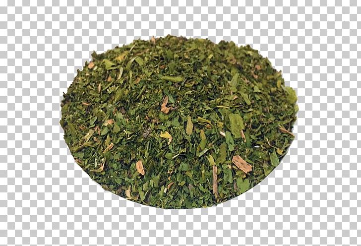 Nilgiri Tea Tieguanyin Leaf Vegetable Tea Plant PNG, Clipart, Bancha, Biluochun, Darjeeling Tea, Grass, Gyokuro Free PNG Download
