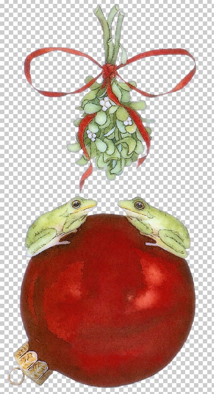 Tomato Pomegranate Juice Christmas Ornament Superfood Cranberry PNG, Clipart, Christmas, Christmas Decoration, Christmas Ornament, Cranberry, Food Free PNG Download
