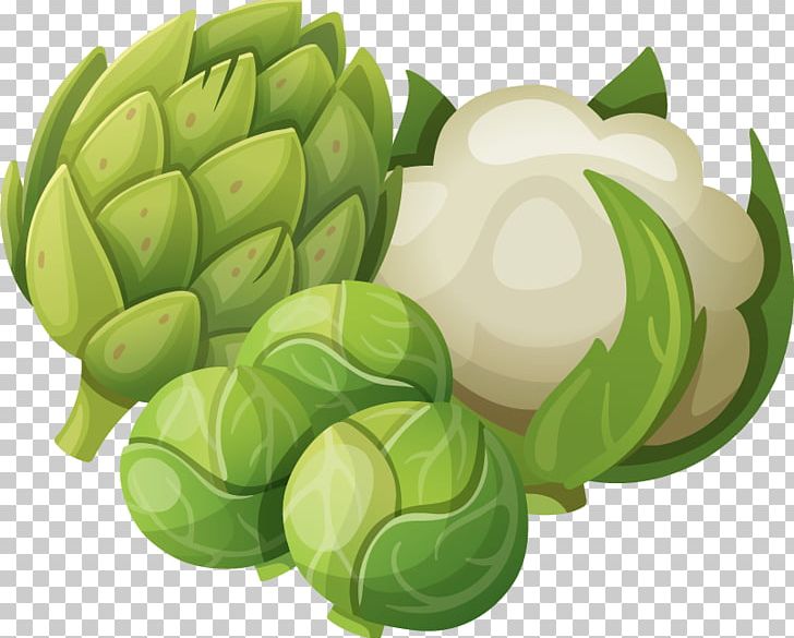 Vegetable PNG, Clipart, Cabbage, Cartoon, Cauliflower, Cdr, Encapsulated Postscript Free PNG Download