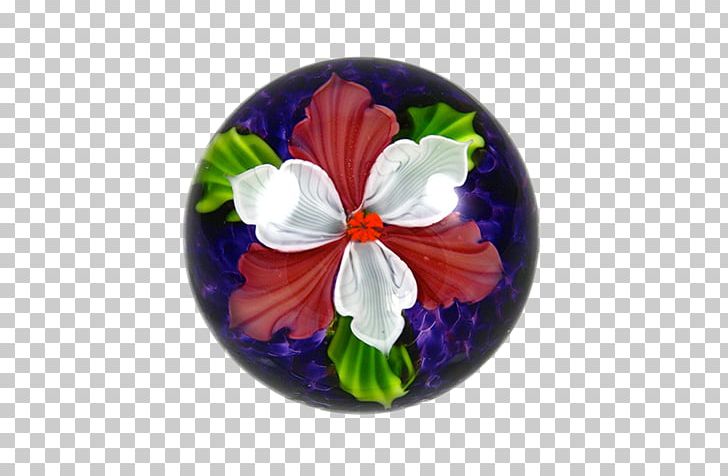 Pansy Mallows Violet Family PNG, Clipart, Family, Flower, Flowering Plant, Mallow, Mallow Family Free PNG Download