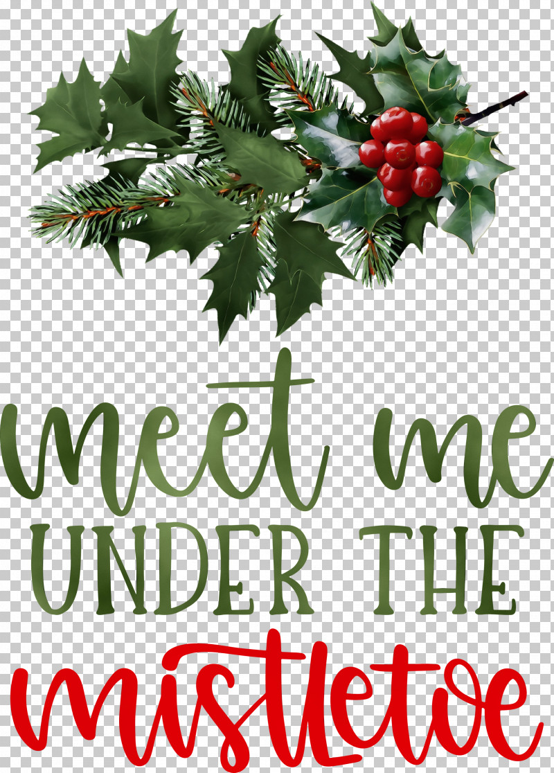 Mistletoe PNG, Clipart, Mistletoe, Paint, Watercolor, Wet Ink Free PNG Download