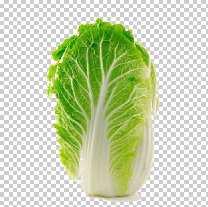 Napa Cabbage Choy Sum Kohlrabi Chinese Cabbage PNG, Clipart, Background Green, Blue, Bok Choy, Brassica Oleracea, Brassica Rapa Free PNG Download