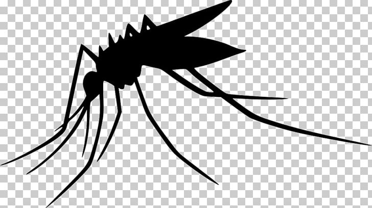 Yellow Fever Mosquito Insect PNG, Clipart, Aedes Albopictus, Artwork, Black, Black And White, Eye Free PNG Download