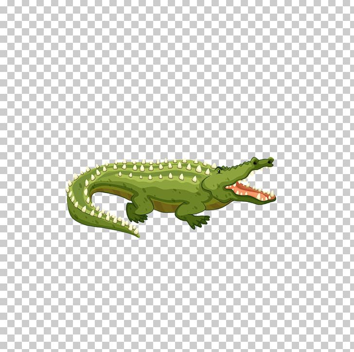 Crocodiles PNG, Clipart, Animal, Animals, Artworks, Background Green, Cartoon Free PNG Download