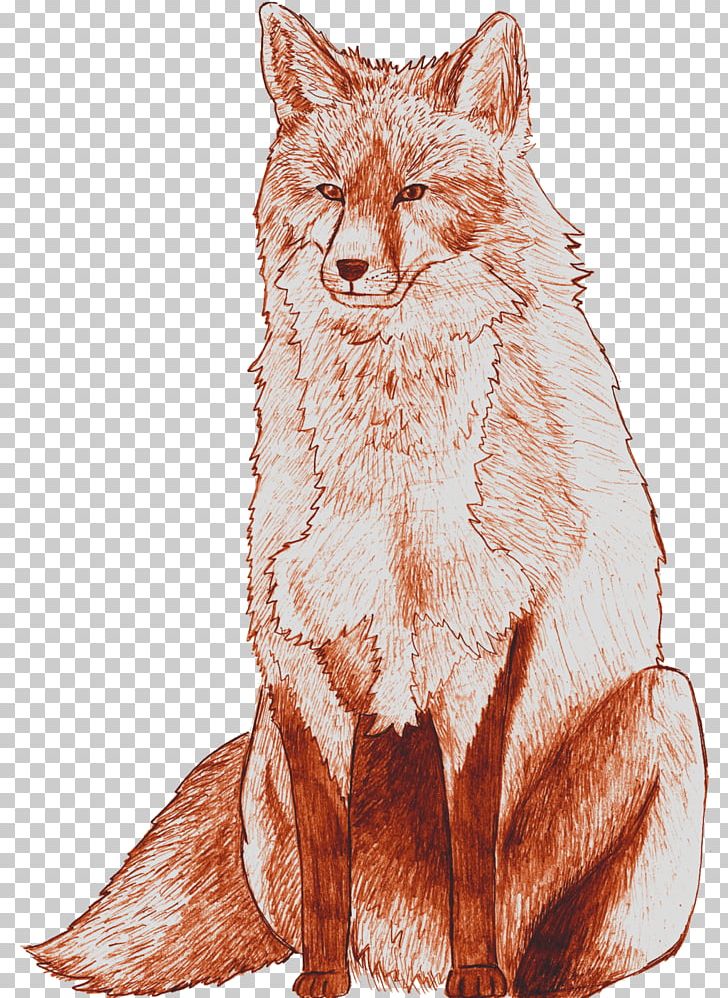 Whiskers Red Fox Coyote Gray Wolf Dhole PNG, Clipart, Carnivoran, Cat, Cat Like Mammal, Coyote, Dhole Free PNG Download